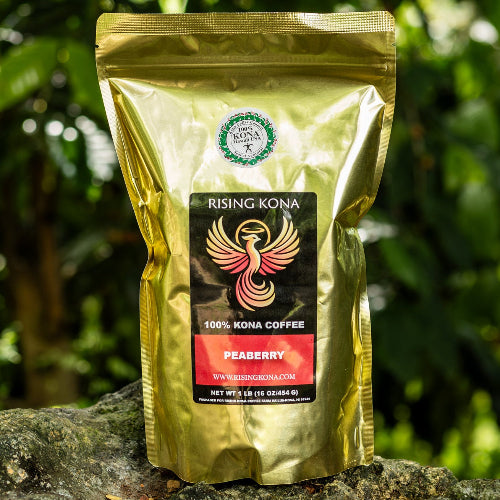 Gold coffee bag with a brand logo on a rock in a coffee plantation