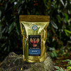 Kona Kona coffee bag on a rock with a natural background