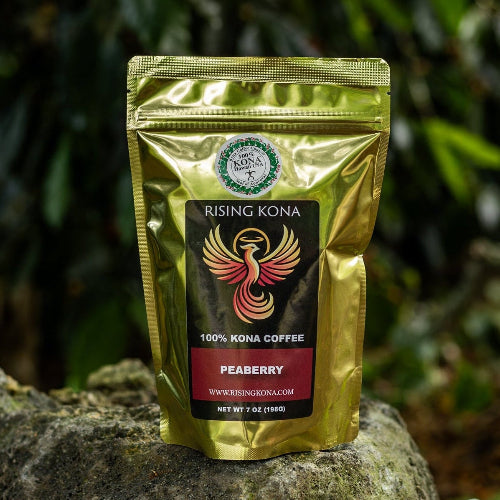 Gold coffee package on a rock with greenery in the background