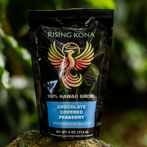 Chocolate Covered Peaberry Beans