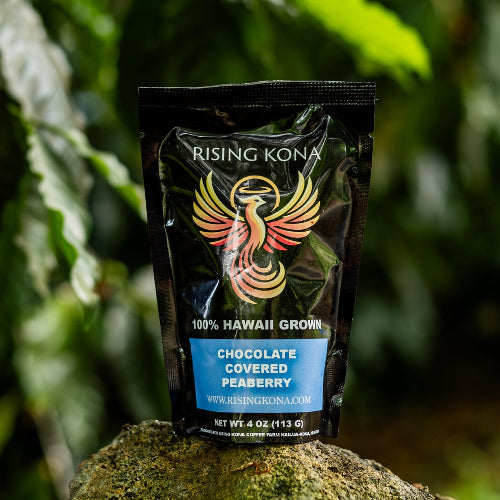 Chocolate Covered Peaberry Beans