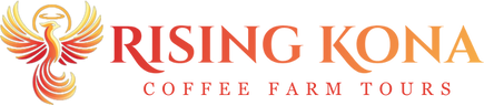 Rising Kona Coffee Farm Tours